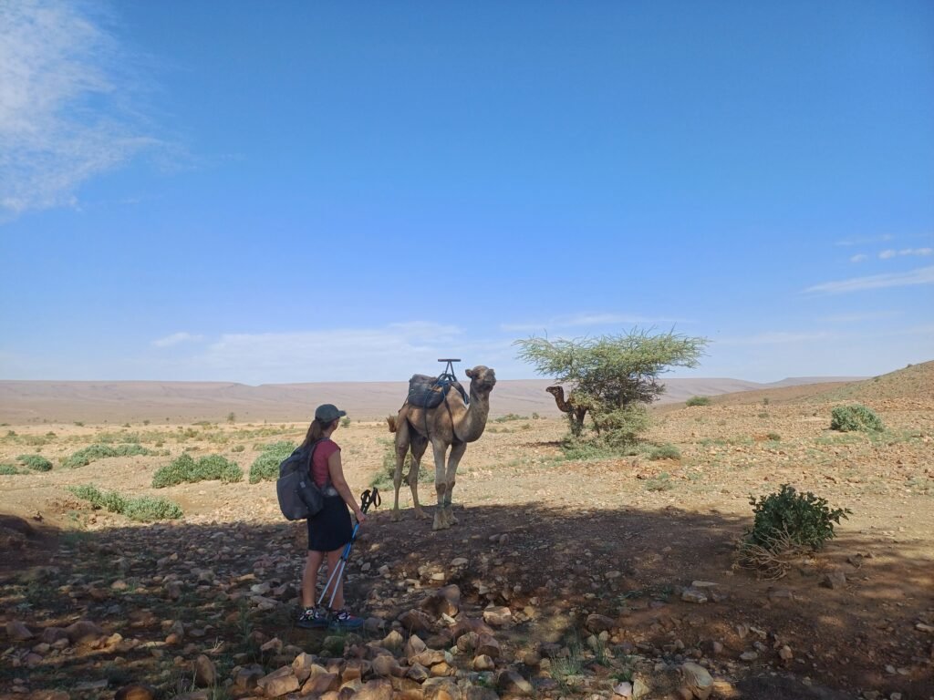 ACHGUID OASIS TO DAR ARHAL