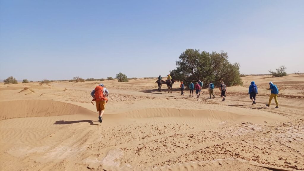 MARRAKECH TO FAIJA