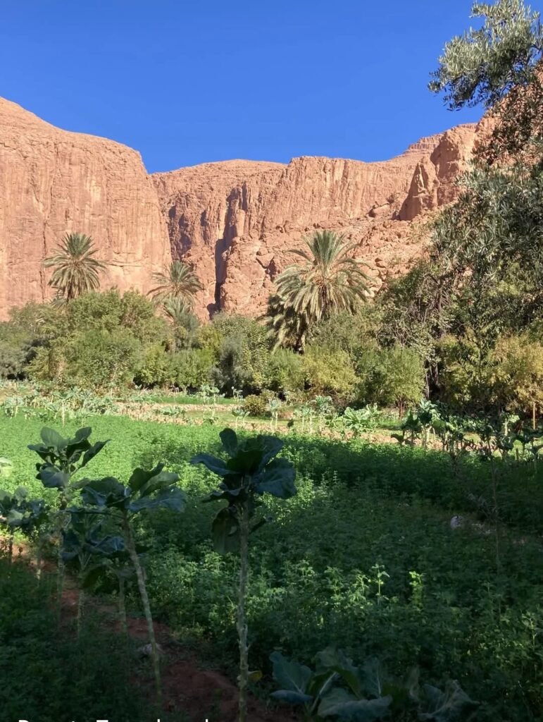 FÈS - FORÊT DE CÈDRES - VALLEE DU ZIZ - MERZOUGA