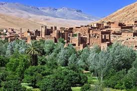 NEKOB - MARRAKECH