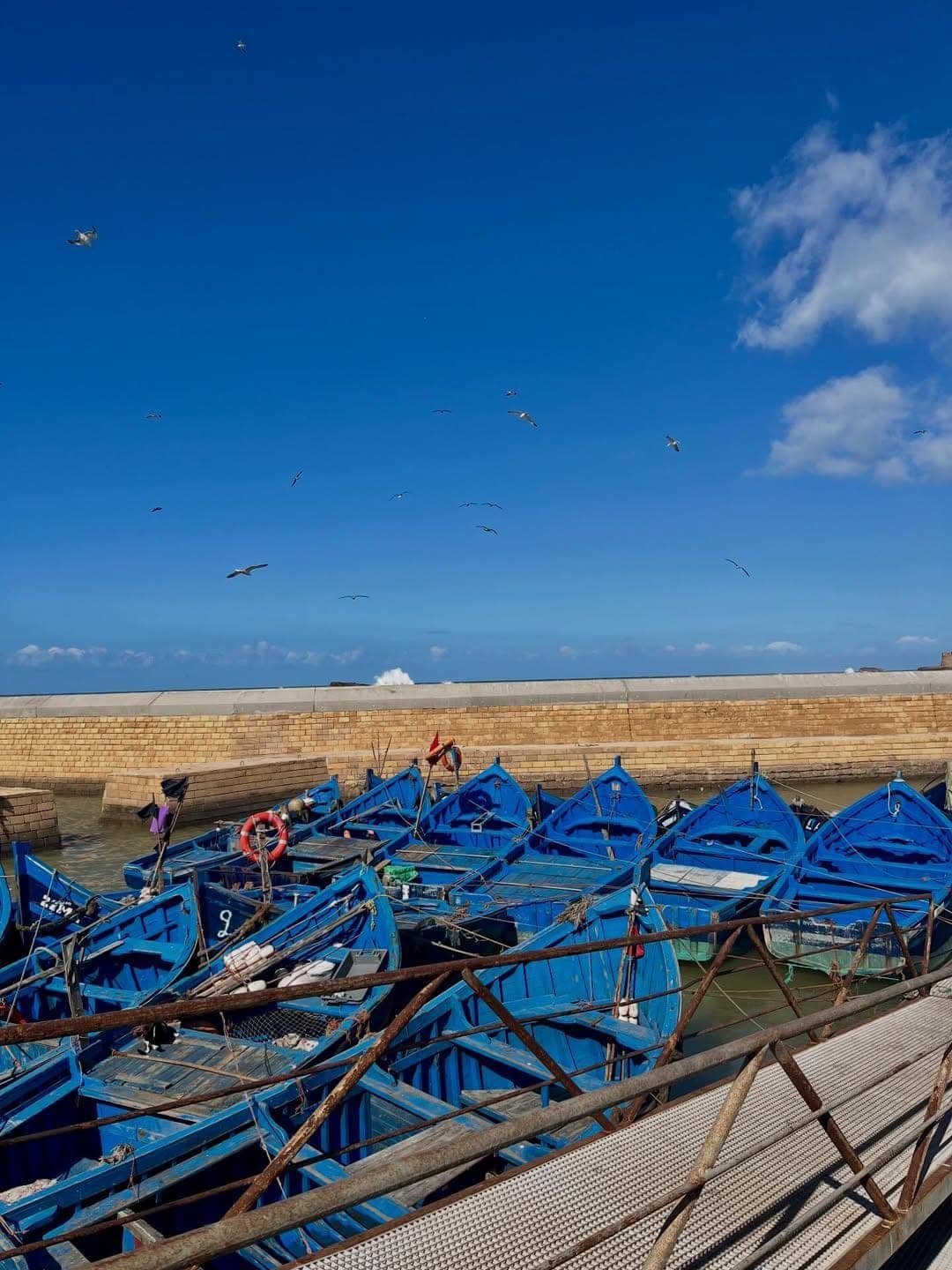 Excursion Essaouira, la Cité du Vent
